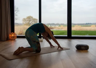 Méditation de l&rsquo;arbre