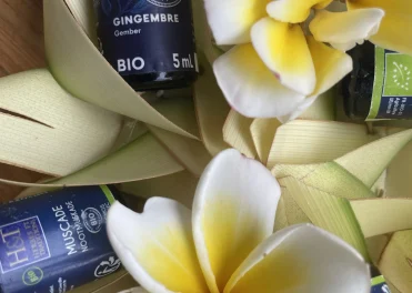 Salutation au soleil et huiles essentielles de citron